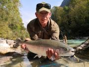 Big lower Soca rainbow trout